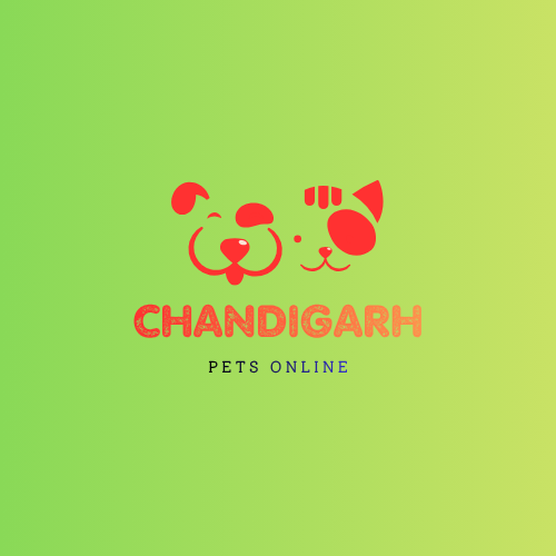 Chandigarh Pets Online